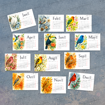 2026 Mini Bird Calendar – Pocket-Size Monthly Art Cards (Set of 12)